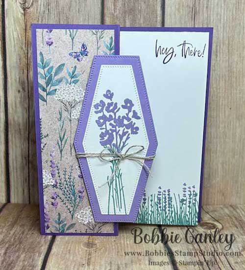 Painted Lavender and Perennial Lavender